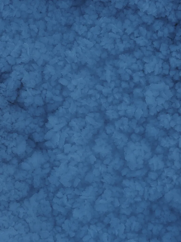 ice crystals formed on top of a thin layer of snow