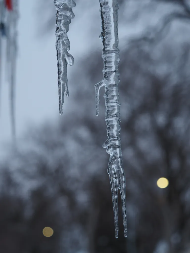 a forked icicle