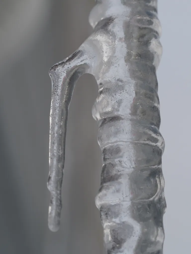 a forked icicle