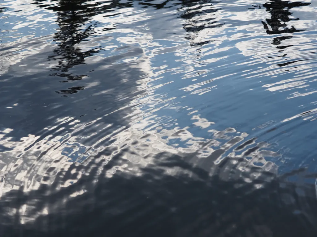 clouds reflected in a pond