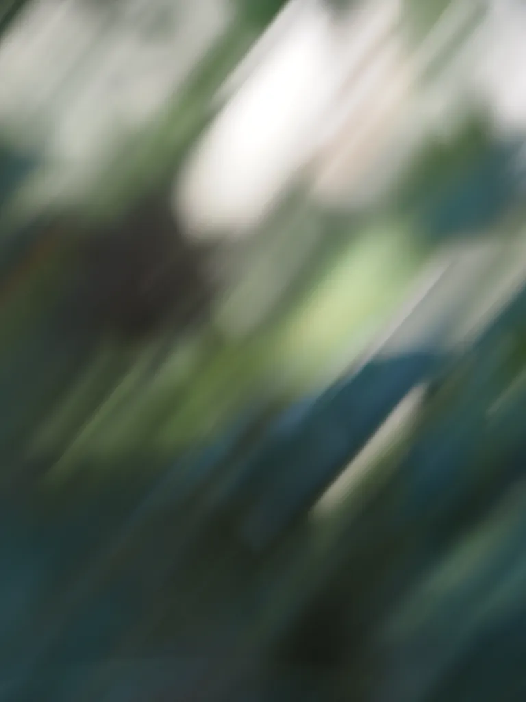 an accidental blurry photo of plants