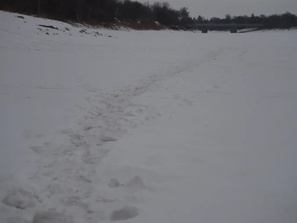 footprints on a river