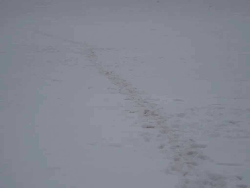 footprint in the snow on the river