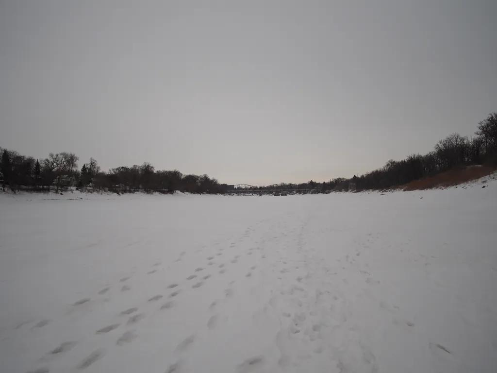 footprints in the snow