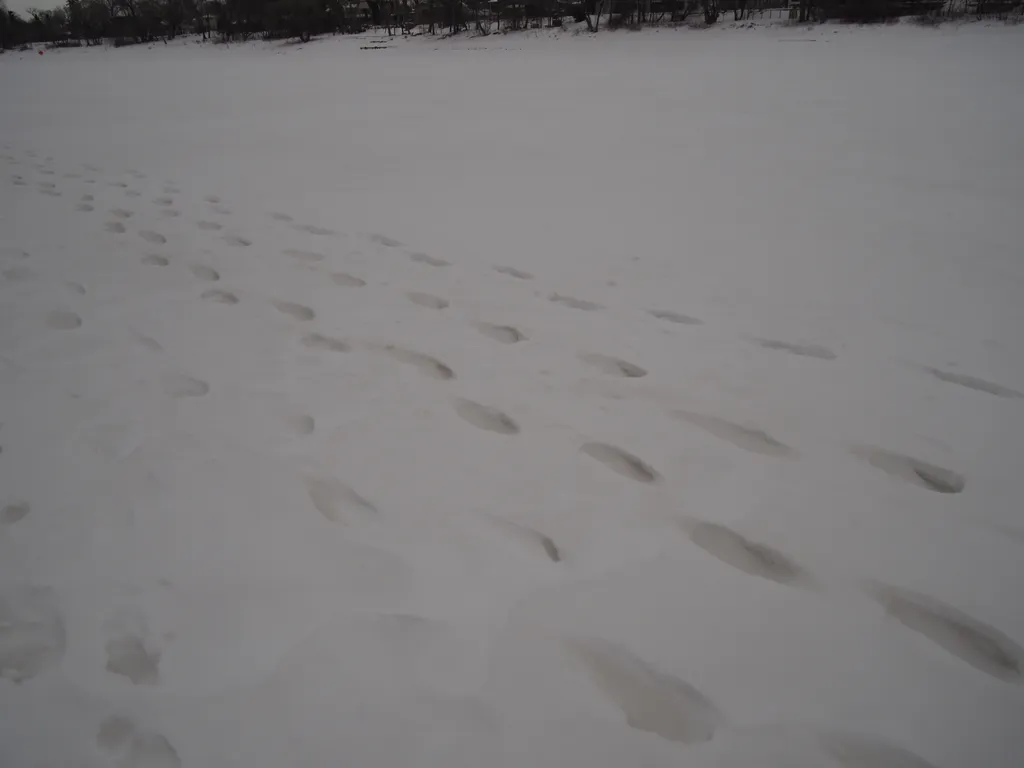 footprints in the snow