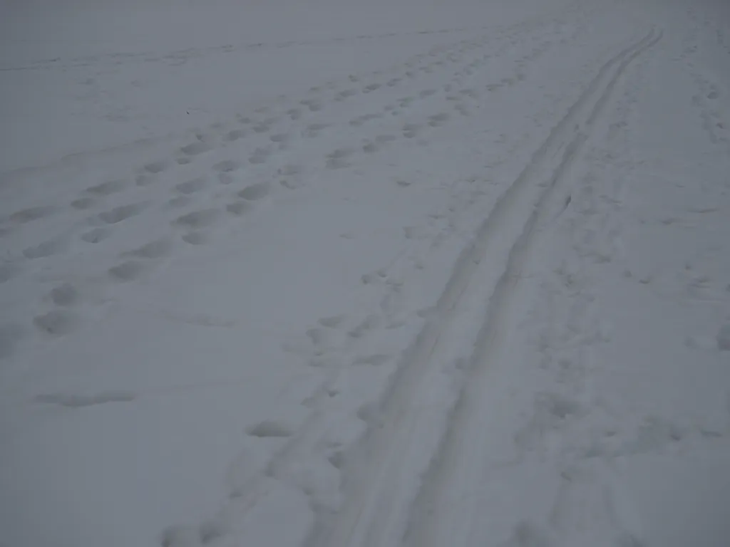ski and footprints on a river