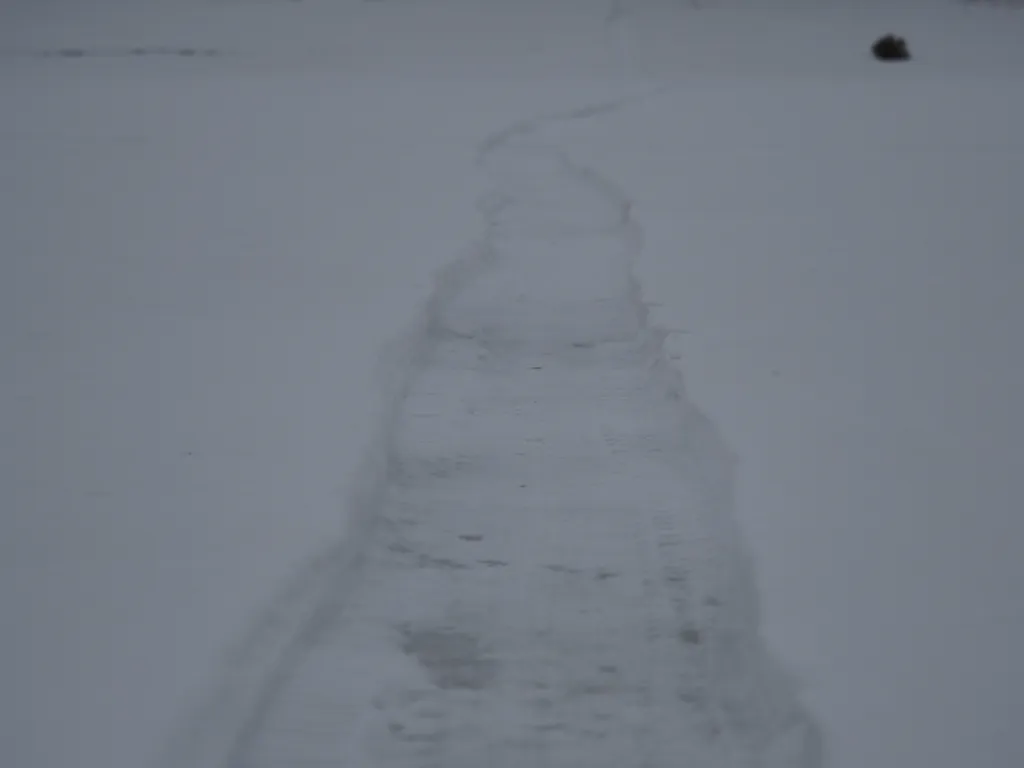 a shovelled path on a river