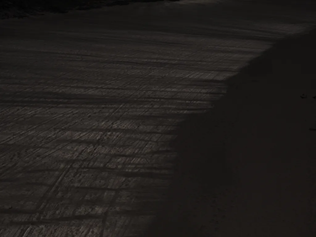 trees casting shadows on a frozen river