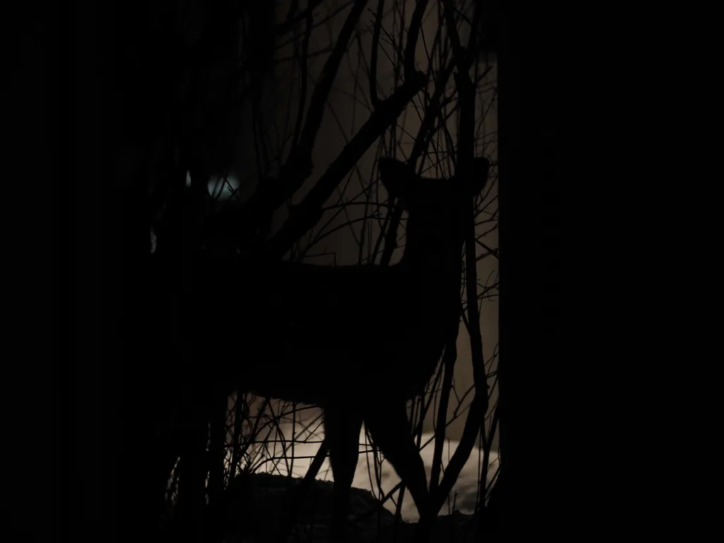 a deer at night