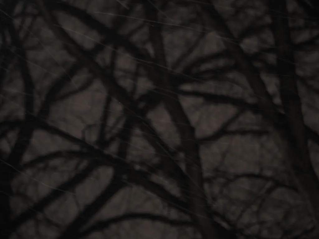 blowing snow at night