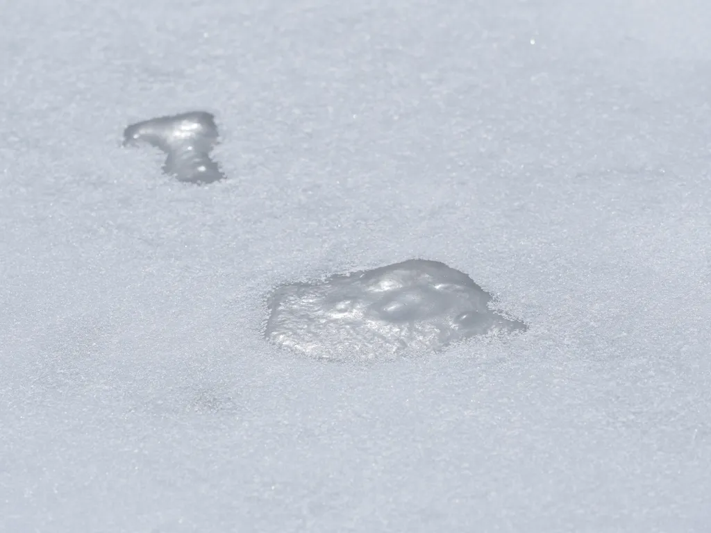 snow on an outdoor rink