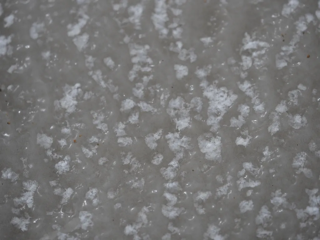 snow collected in the uneven surface of ice