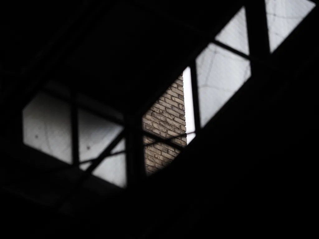 a brick wall viewed through a broken skylight in an old stable