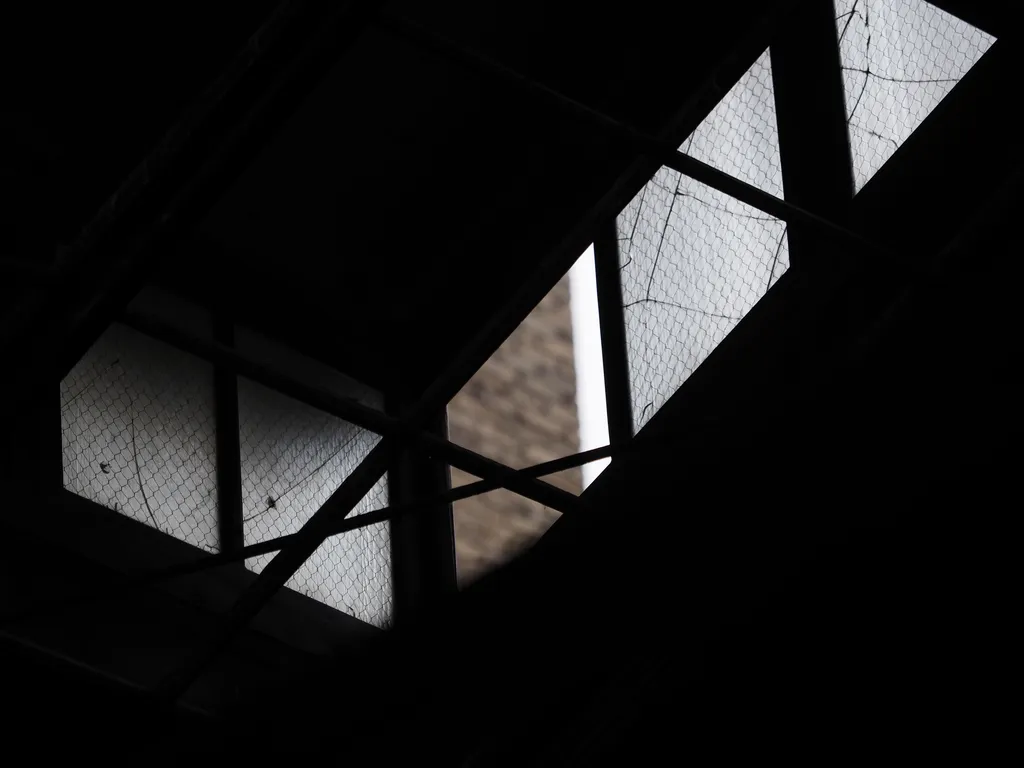 a brick wall viewed through a broken skylight in an old stable