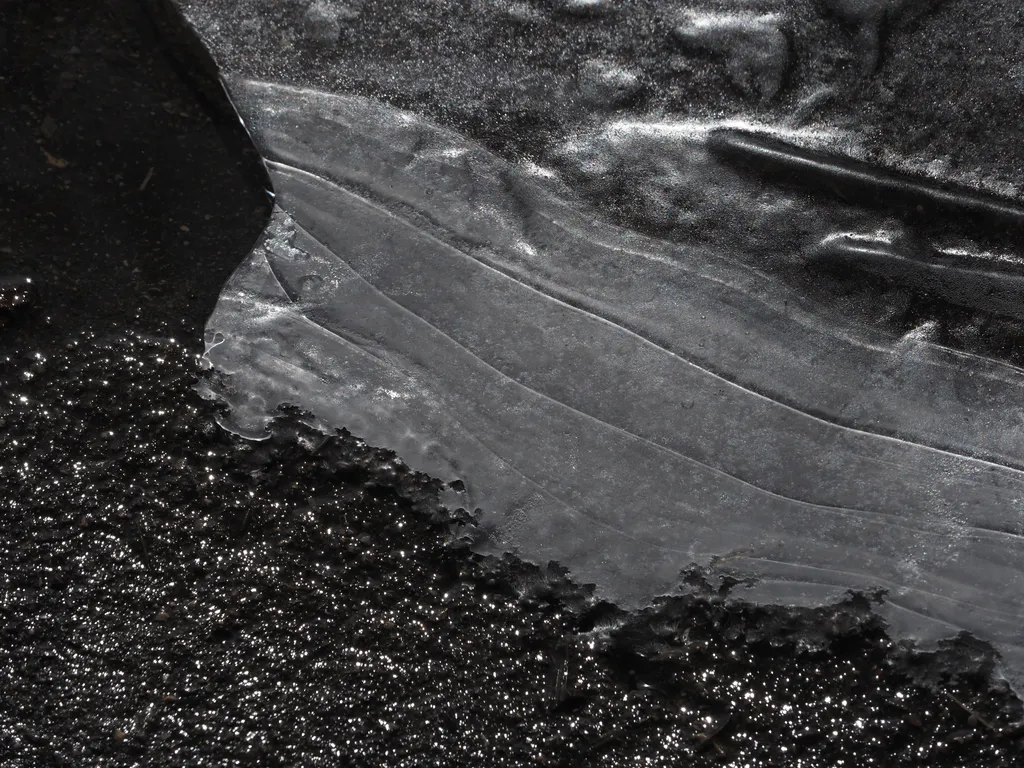 a thin sheet of ice on a puddle