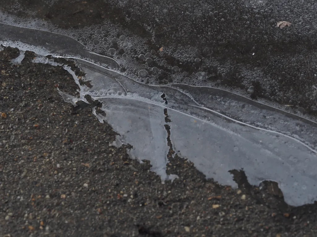 a thin sheet of ice on a puddle