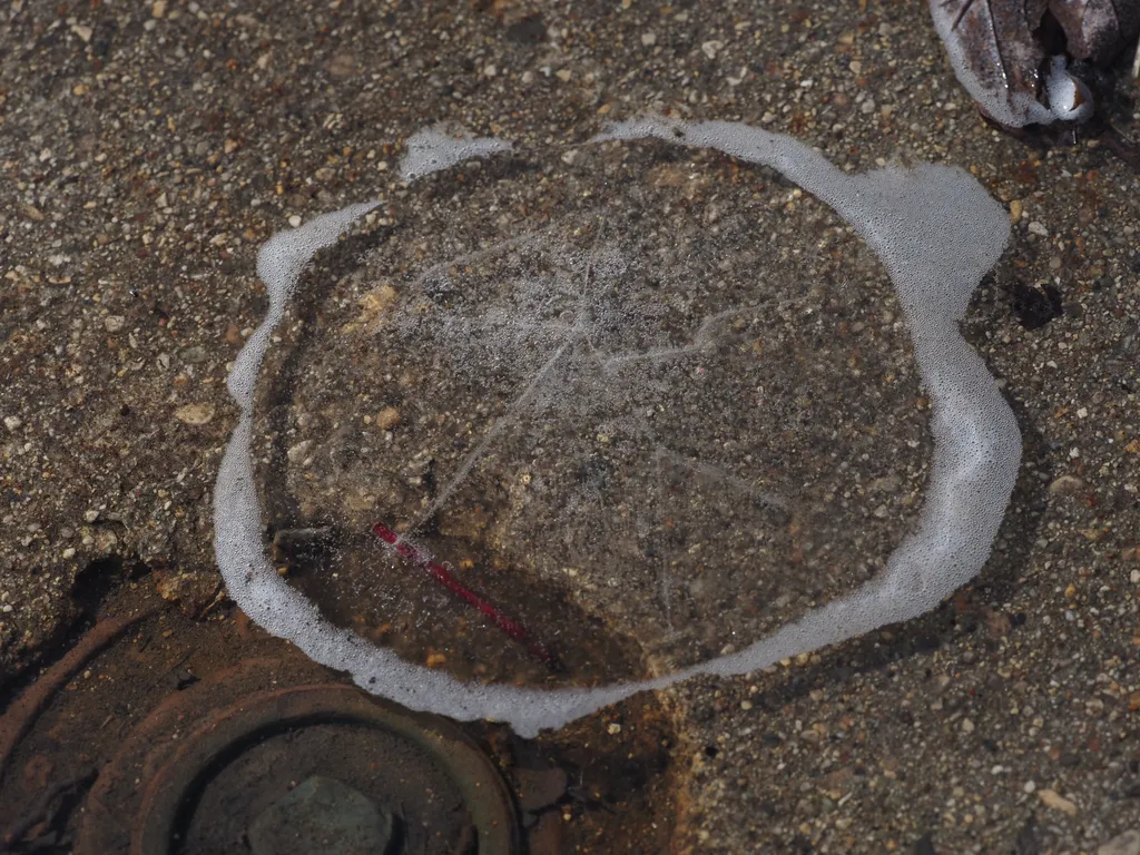 a thin puck of ice floating on a puddle