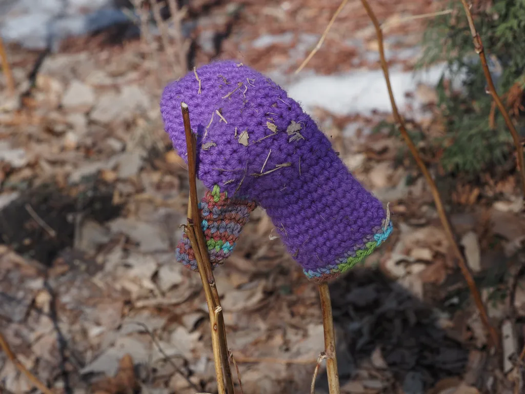 a mittenleft on a plant