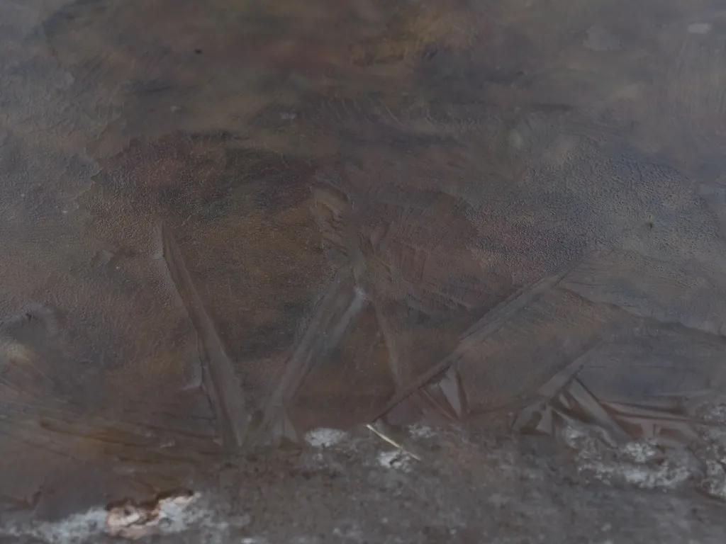 a thin layer of ice on a puddle