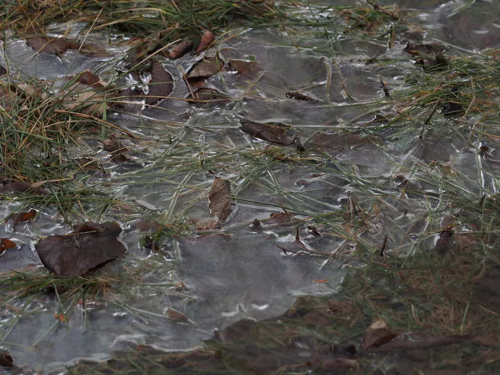 the remaining ice from a receding puddle