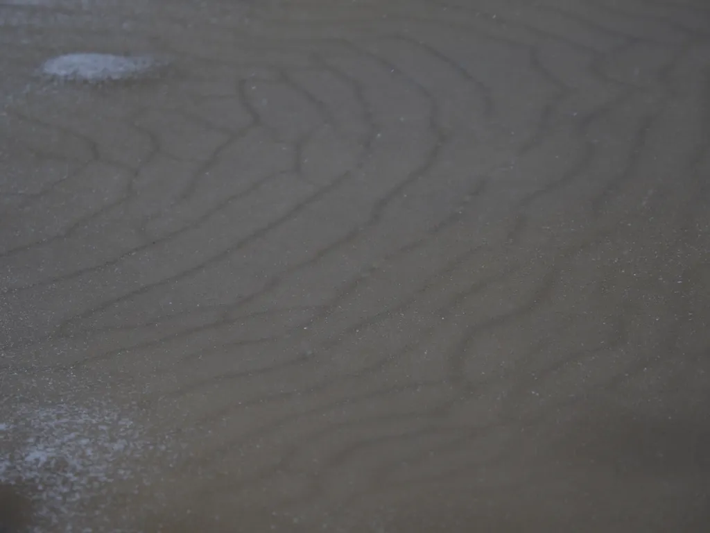 fresh snow on a slushy puddle