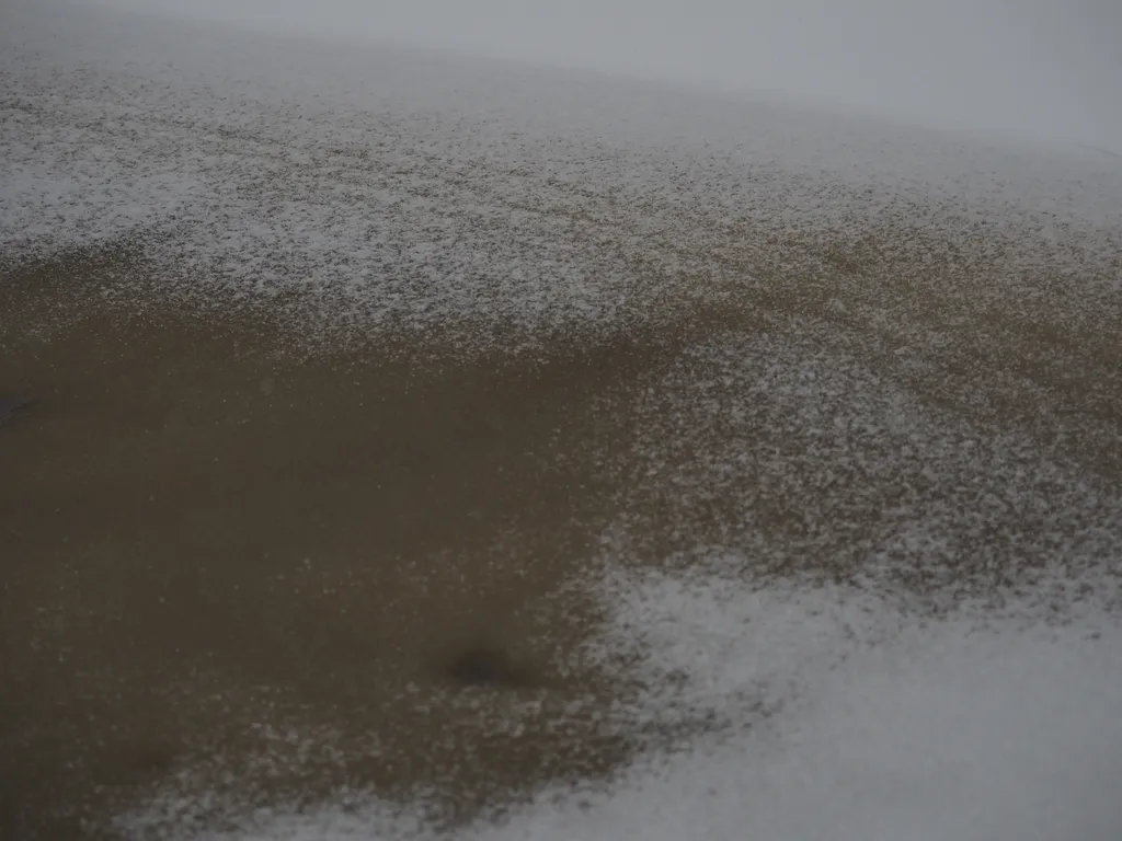 fresh snow on a slushy puddle