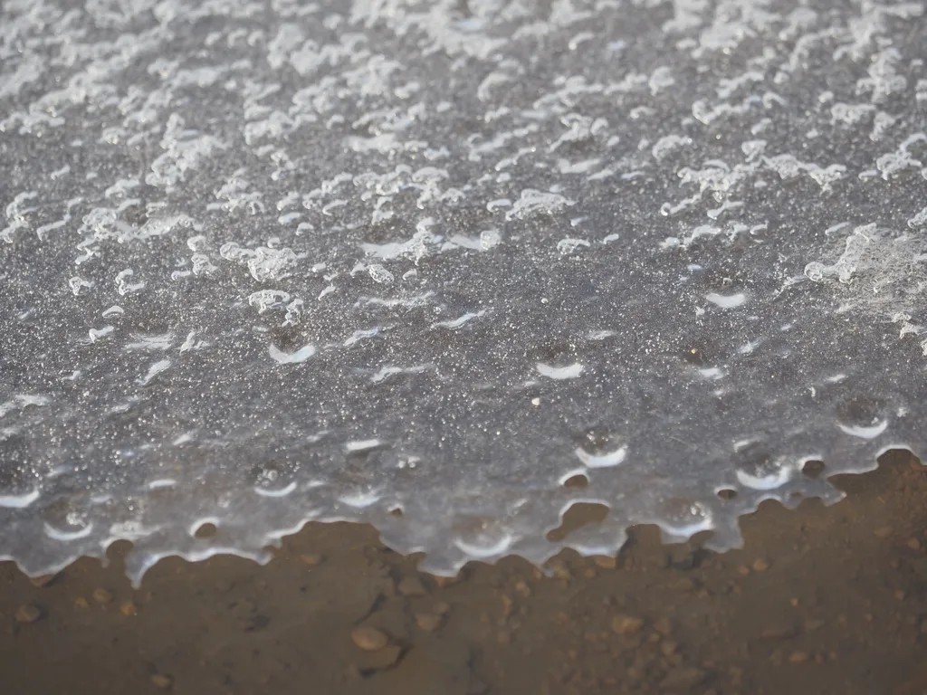 a thin layer of ice on a puddle