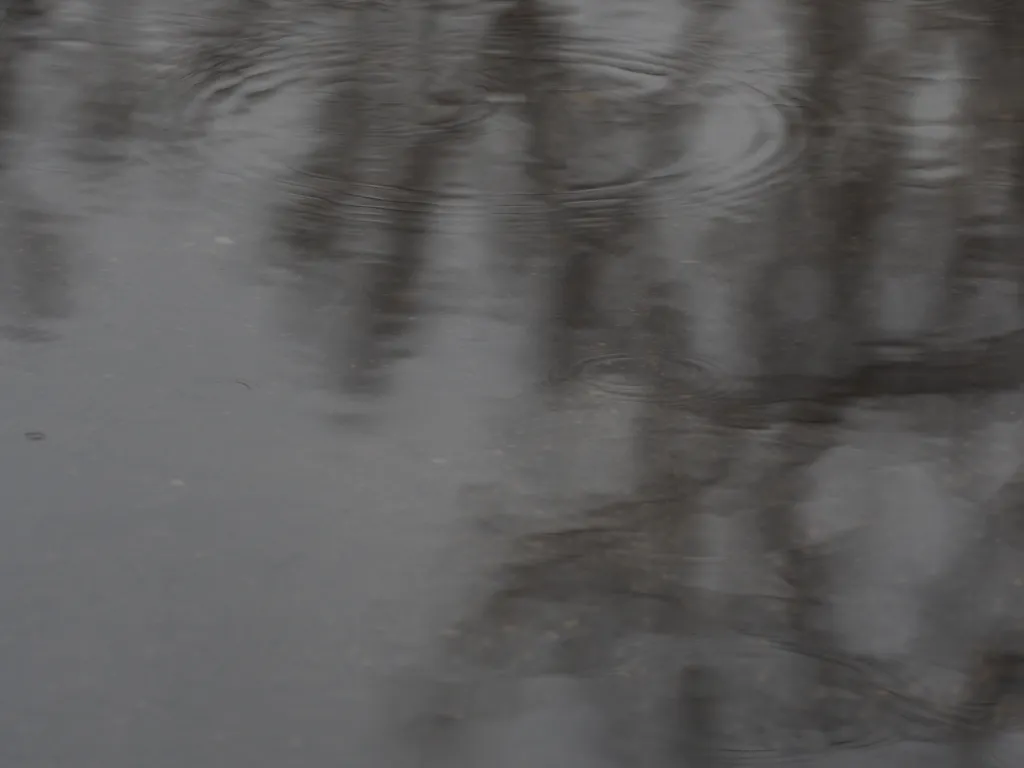 droplets in a puddle