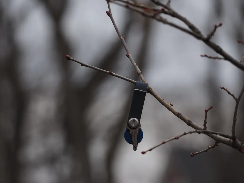 a set of keys hanging from a tree