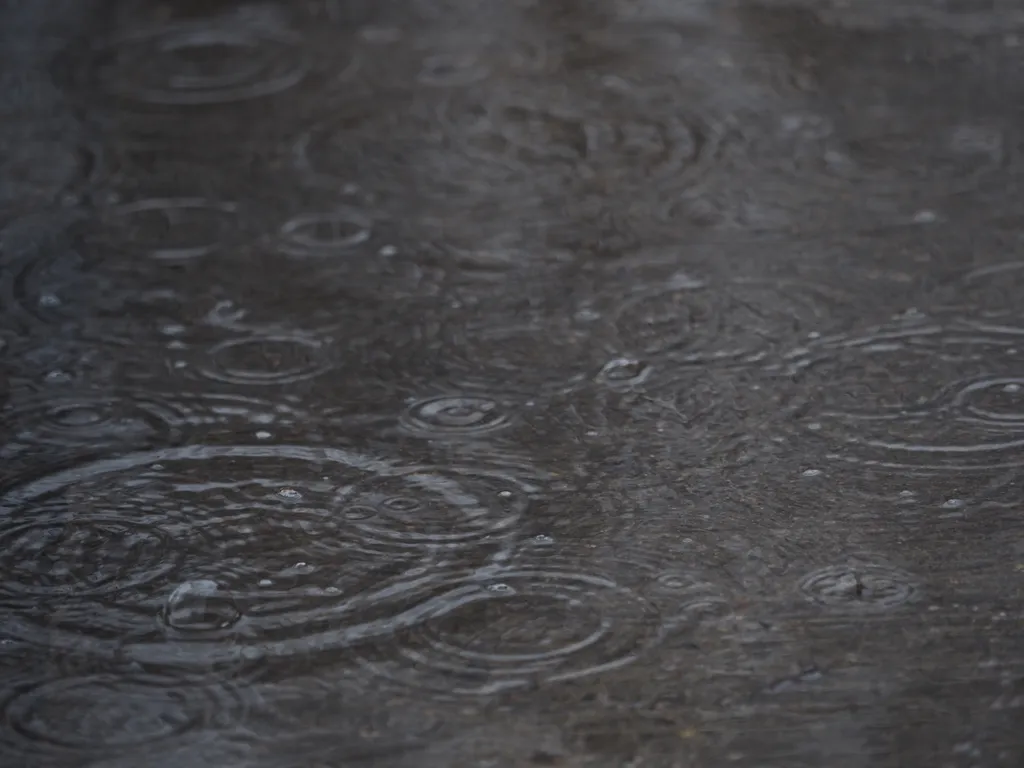 raindrops in puddles