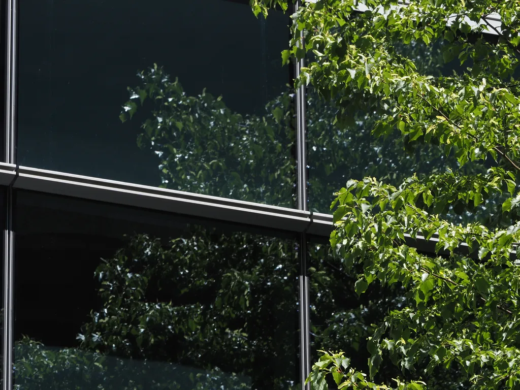 a tree reflected in a building