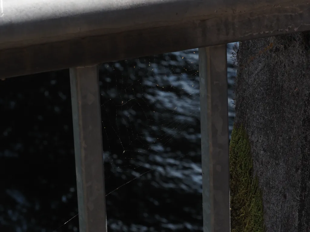 a spider web by a river