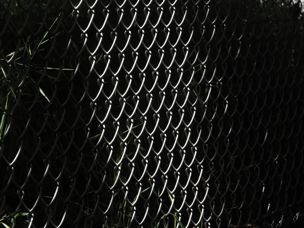 sunlight on a chain-link fence