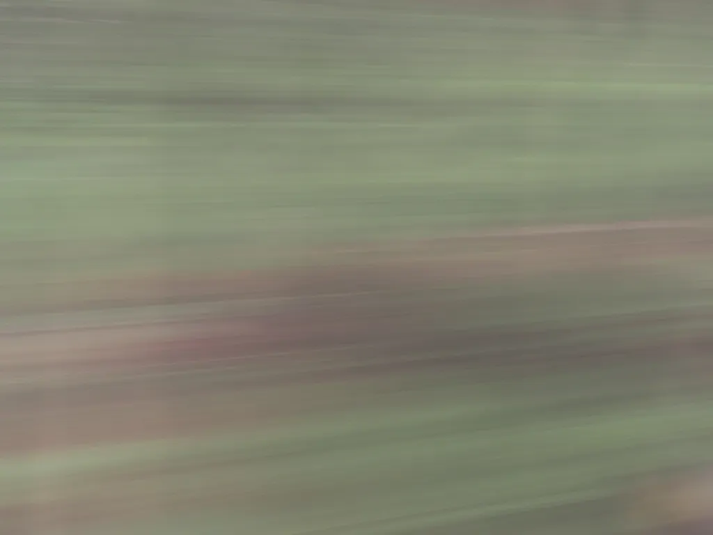 looking out the window of a train