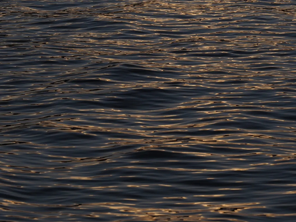 the run reflecting on the bay