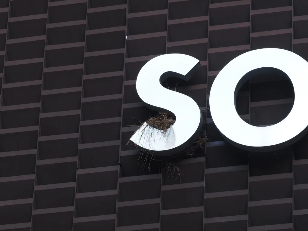 a bird's nest in a sign