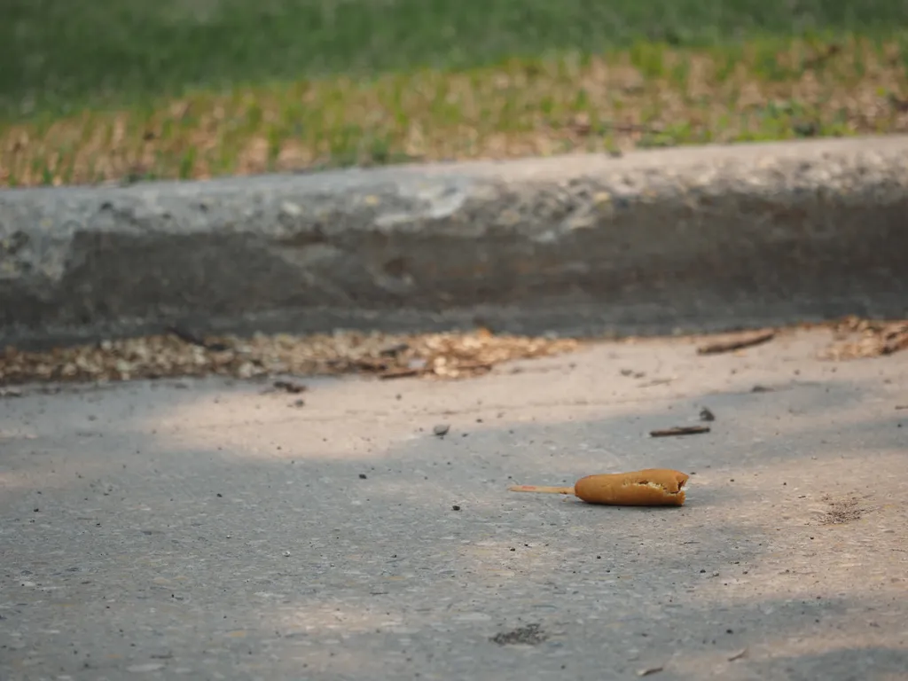 a partially eaten corndog lying abandoned in the road