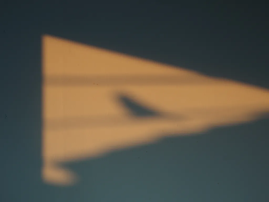 a sparrow on a wire casting a shadow on a wall