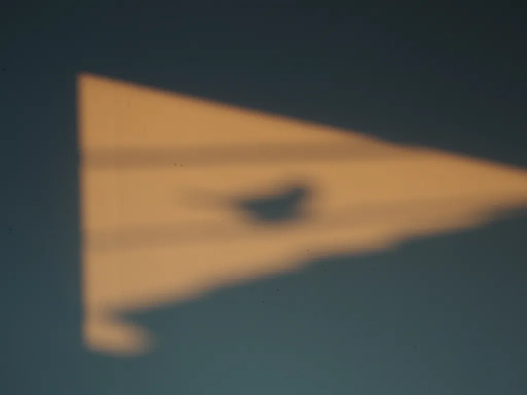 a sparrow on a wire casting a shadow on a wall