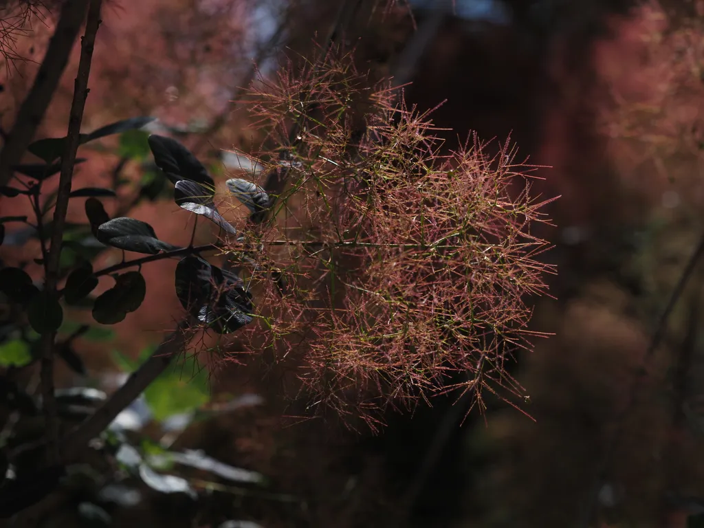 a tree with green leaves and also a mess of red stalks (possibly rows of flowers?)