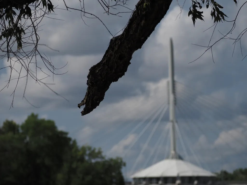 a suspension bridge from afar