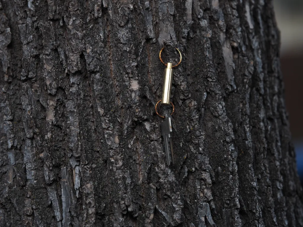 a keychain hanging from a tree