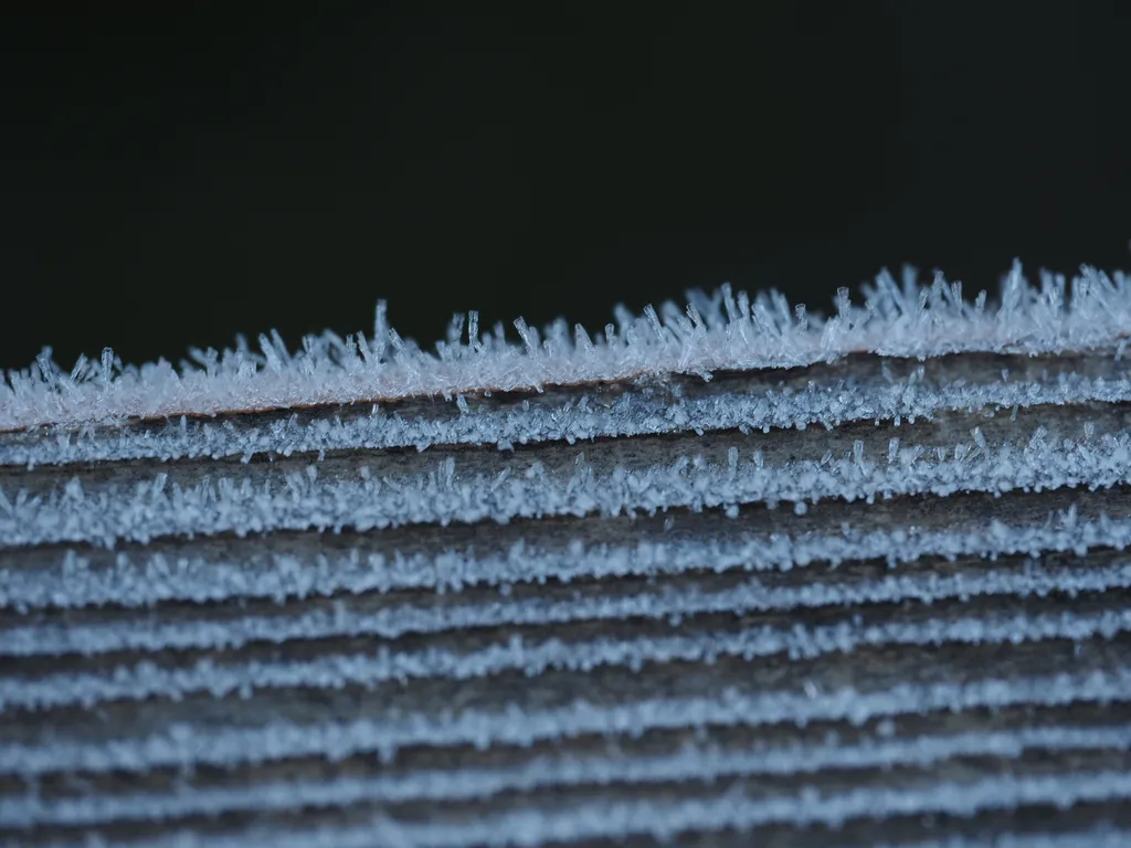 frost on a wooden board