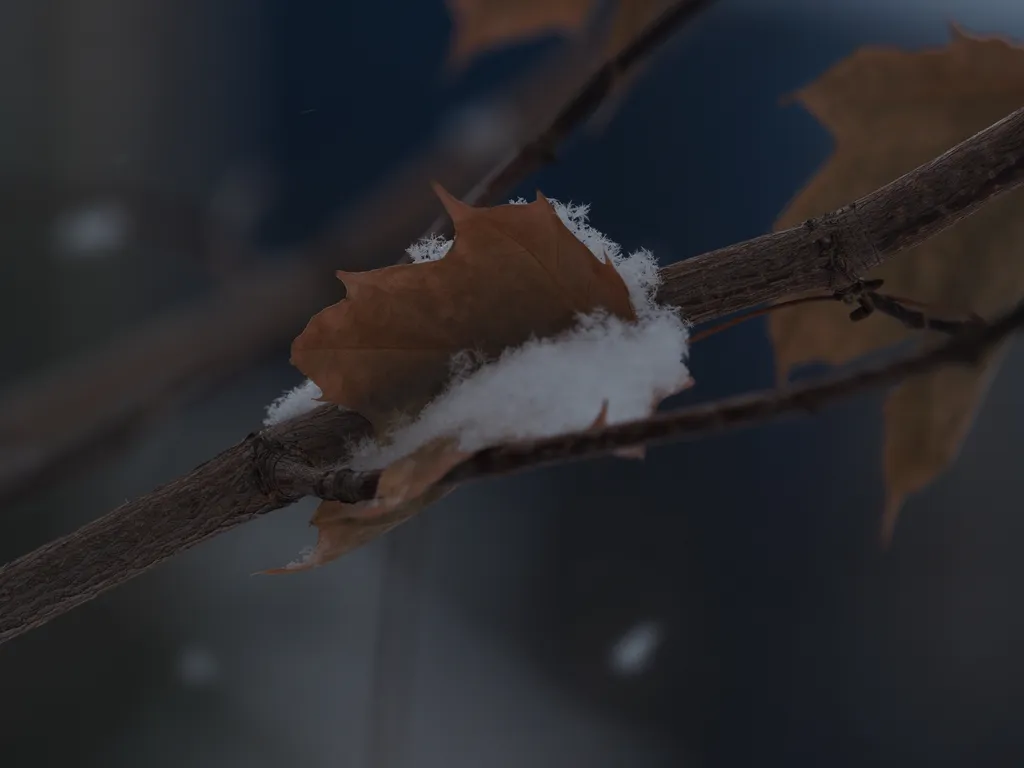 a leaf caught against a branch and surrounded by snow