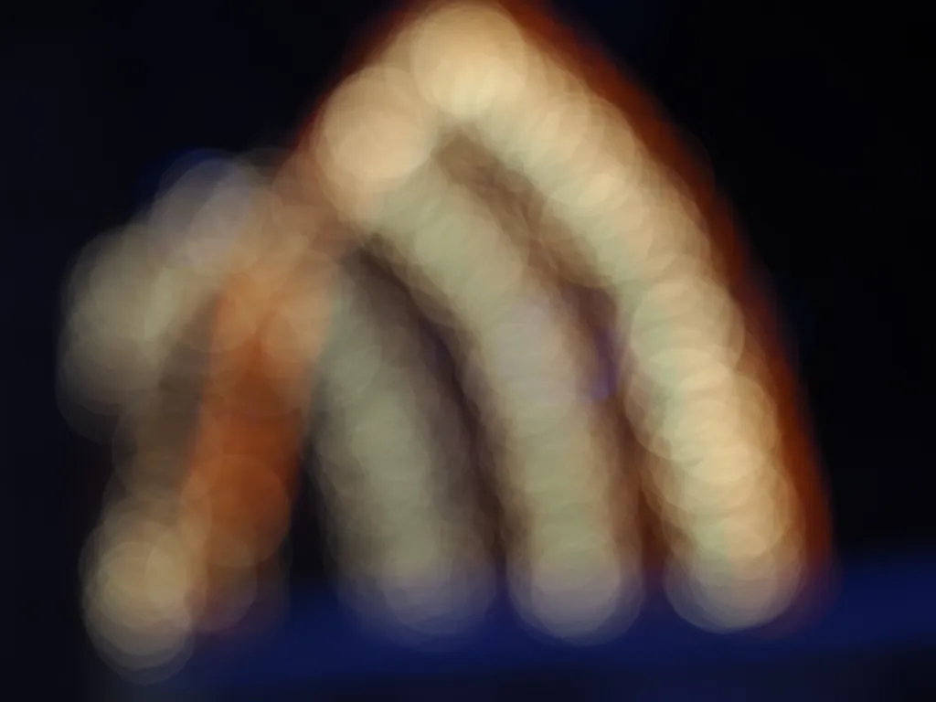 an arch covered in lights