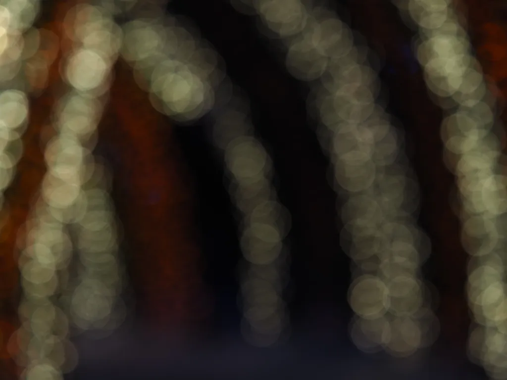 an arch covered in lights