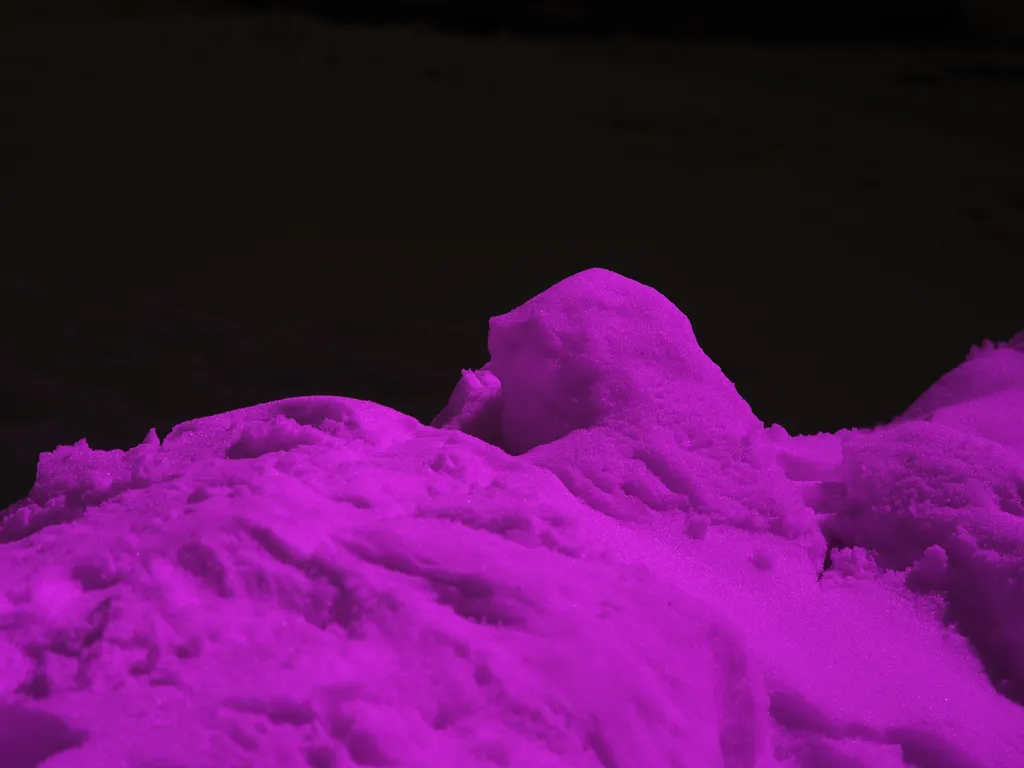 snow bathed in purple light