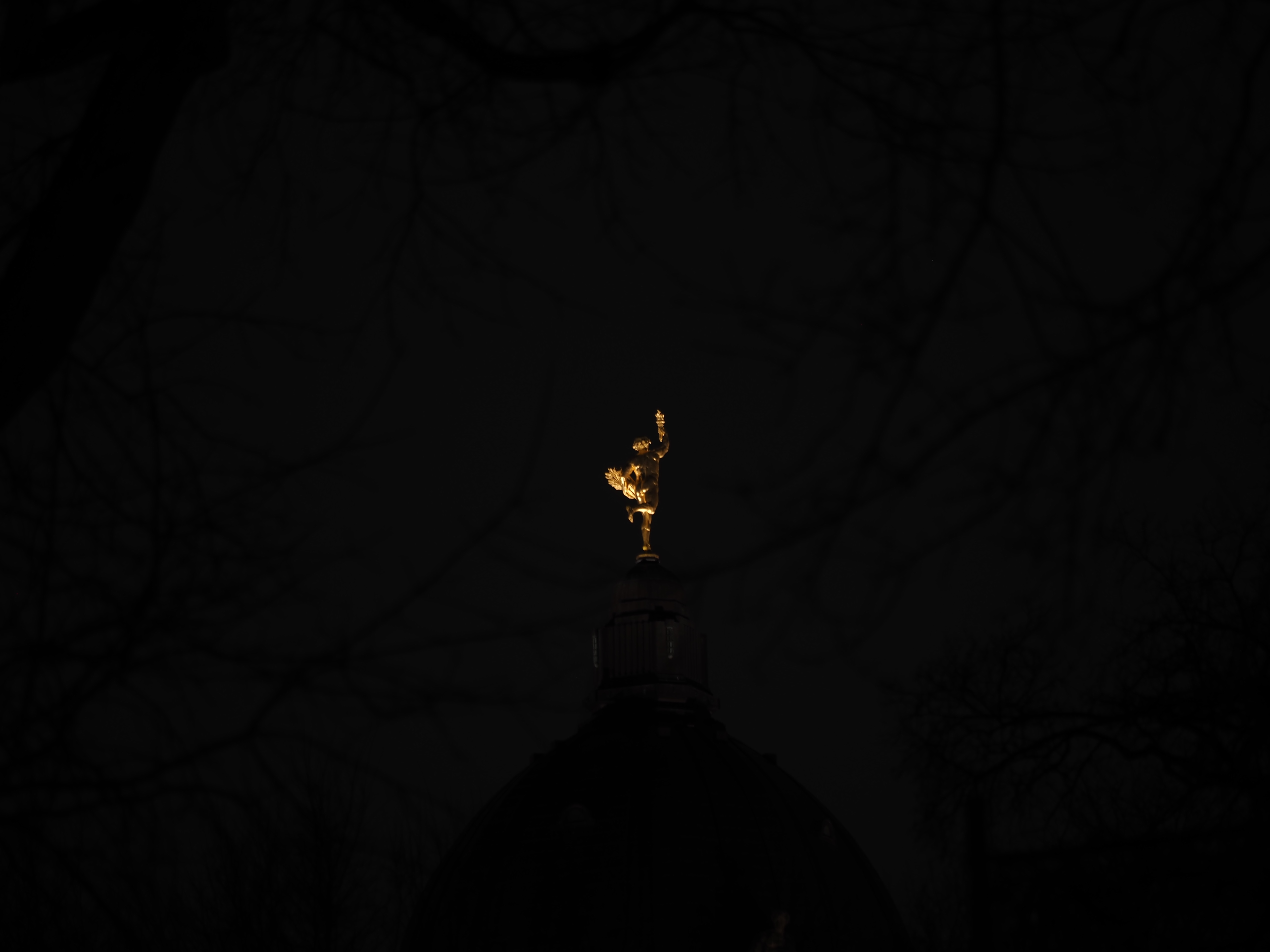 the golden boy at night