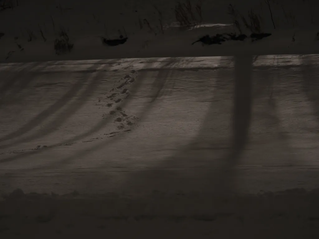 footprints in snow up a river bank