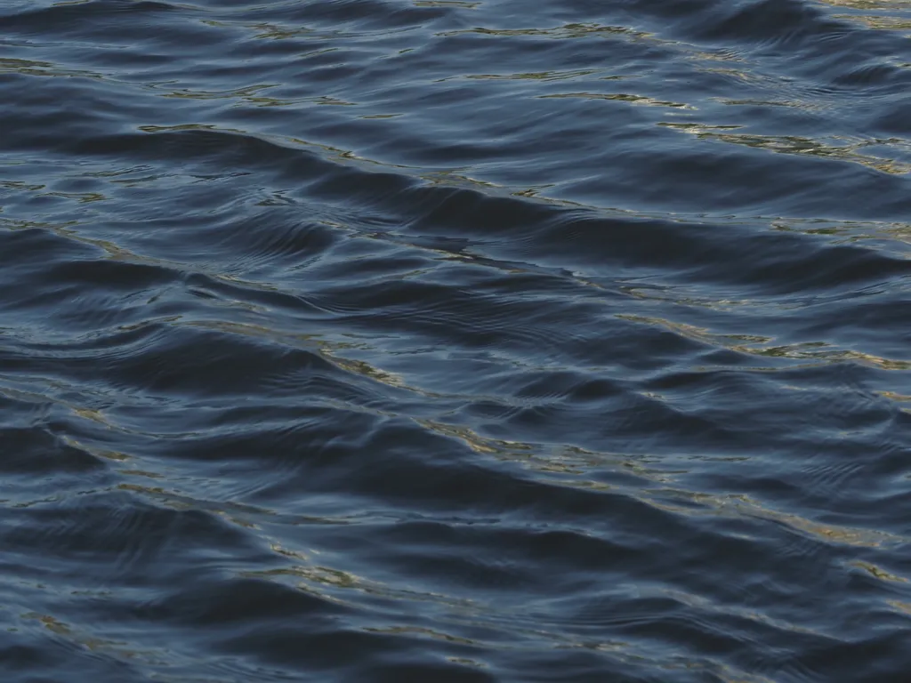 gentle waves